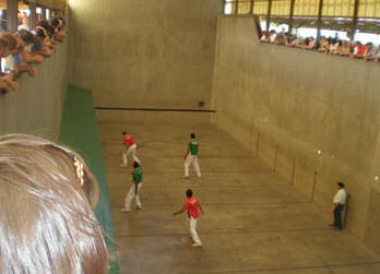 pilota