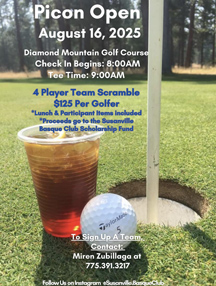 Picon Open